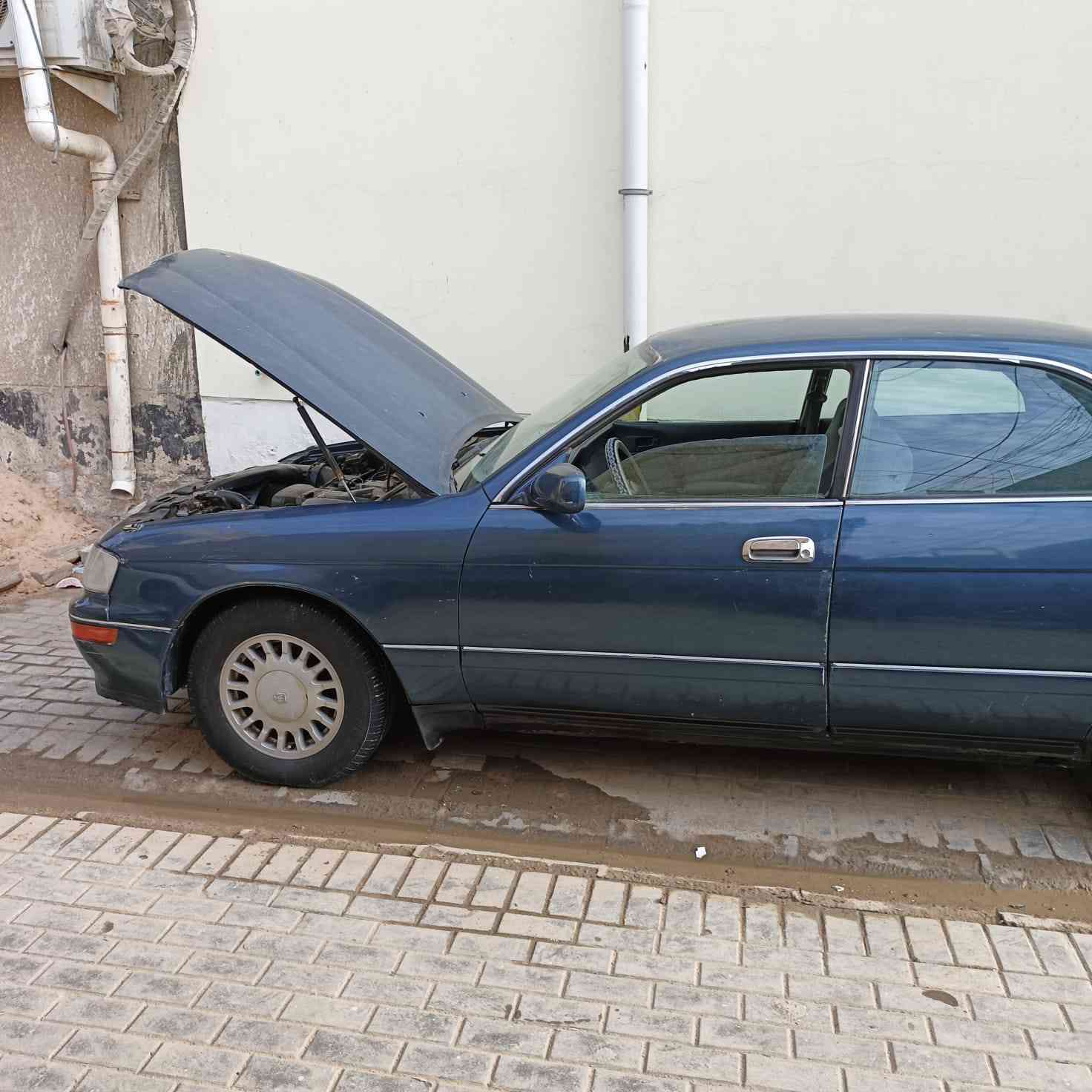 يا الله السلام عليكم بطه موديل 92 مكينه كير حداديه حلوه باتري حلوه السياره رقم جديد وراعيها بخور الزبير بالنسبه للسياره كفاله كصه ونقل والعيب الشرعي لا بيها ضربه سياره مصبوغ عام سعرها 36 بيها مجال للشراي المكان المعقل دور الهنديه قرب كليه شط العرب*********** البصرة, العراق
