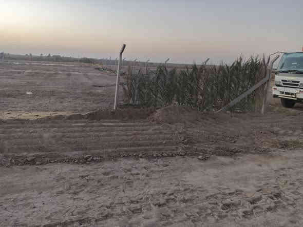 سلام عليكم عندي كاع البيع 1000المسيجه كمله بل نزله مال  ***********المعمل الايلون قريبه على المجمع السكني
