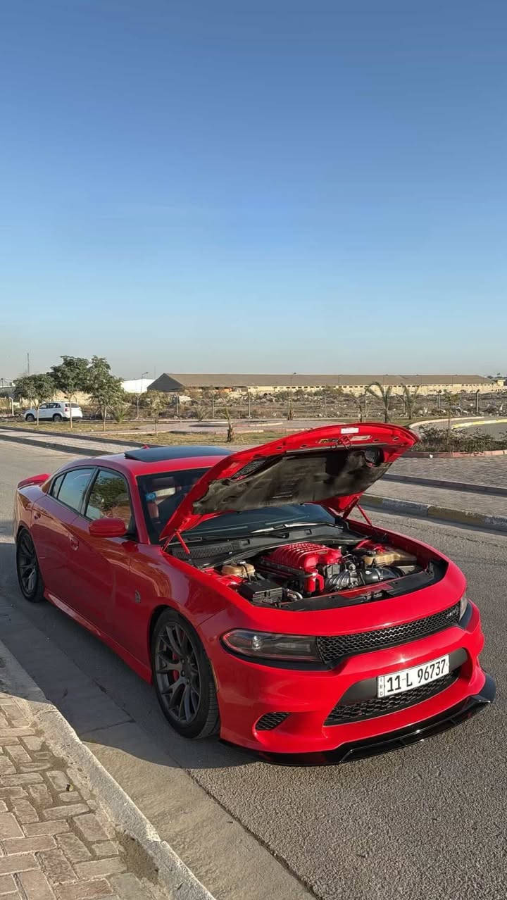 هليكات ستروكر
سياره عابره 800hp موديل 2018 احمر طماطه الوحيده بموديله احمر طماطه السياره متعوب عليه ومصروف عليه السياره فول للاخير 
موصفات
1.كشنات خزن 
2.نقطه عمياء 
3.سلايت
4.رادار امامي خلفي 
تزويد 
1.مكينه ستروكر مالي كامله 
2.سوبر 2022 جديد 
3.كزوز كورسا 
4.لويات ايباخ 
5.ميثانول
6.كاجكان 
7.ولف حماوه 82
غرفه السياره جوزيه 
8.شوته afe
9.ماطور سوبر وكلر جديد مال كصه 
10.مشط ستيرن محدث كهرباء 2022
11.اويل بريثر 
12.برمجة مصطفى ايكل 
13.لد متغير 
حداديه جديده تايرات جديد 315 
سياره بيه برمجة كلش قويه 

حادث سياره 3 قطع وبل عراق هم صارت قطعه يعني 4 قطع 
بدون لغود بدون شواصي 

ديالى بعقوبه 
***********
سعر 290 وبيه مجال
