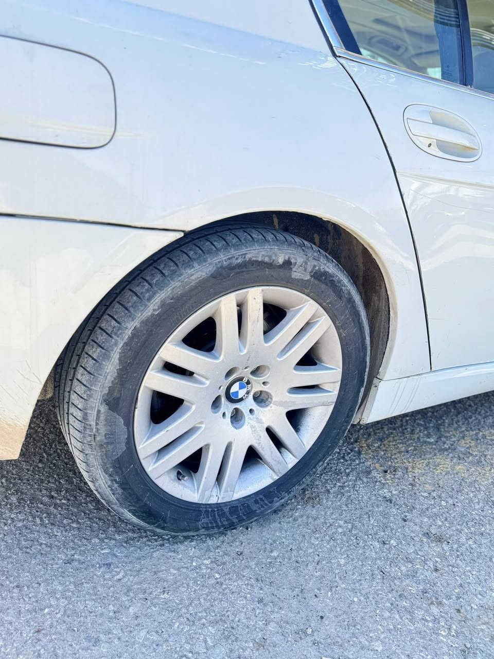 عندي تخم ويل 18 اريد مراوس بتخم ويل 19 شعاع
مكاني نجف 
للتواصل واتساب او خاص ***********
