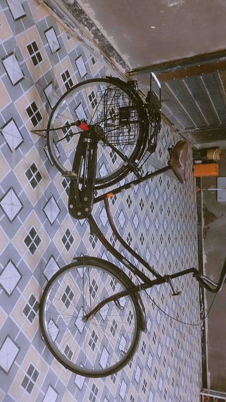 باسيكل للبيع جديد الحجم 26 المكان ناصريه بالسكان الصناعي كامل من الطول الطول السعر 75 وبيا مجال ***********
