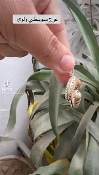 ً/ عرج سويحلي مع لوي  فول تكوين رواحاني  يوجد توصيل لجميعً المحافضات 0...