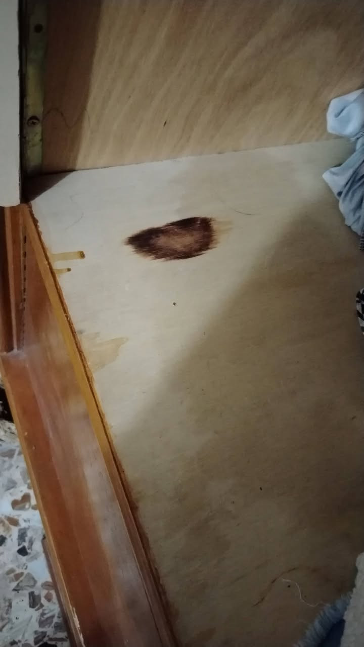 بوفيه تسكام درجه اولى مكانه حي ميسان سعره ١٧٥


**إذا كنت صاحب هذا الإعلان وتريد حذفه لأي سبب، رجاءا أرسل رسالة إلى الدعم الفني**