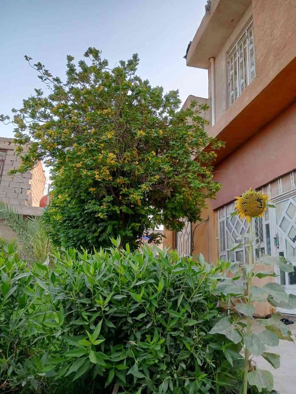 السلام عليكم
🏠 بيت للبيع
🔹 المساحة: 500 متر
 300 متر بناء 200 حديقه 
🔹 طابقين – بناء حديث
🔹 واجهة على شارعين 
📍 الموقع: مثلث الكلابين– خلف أحمد القاضي
البيت مميز بالموقع والمساحة، مناسب للسكن.
📞 للاستفسار والتواصل: ___***********
