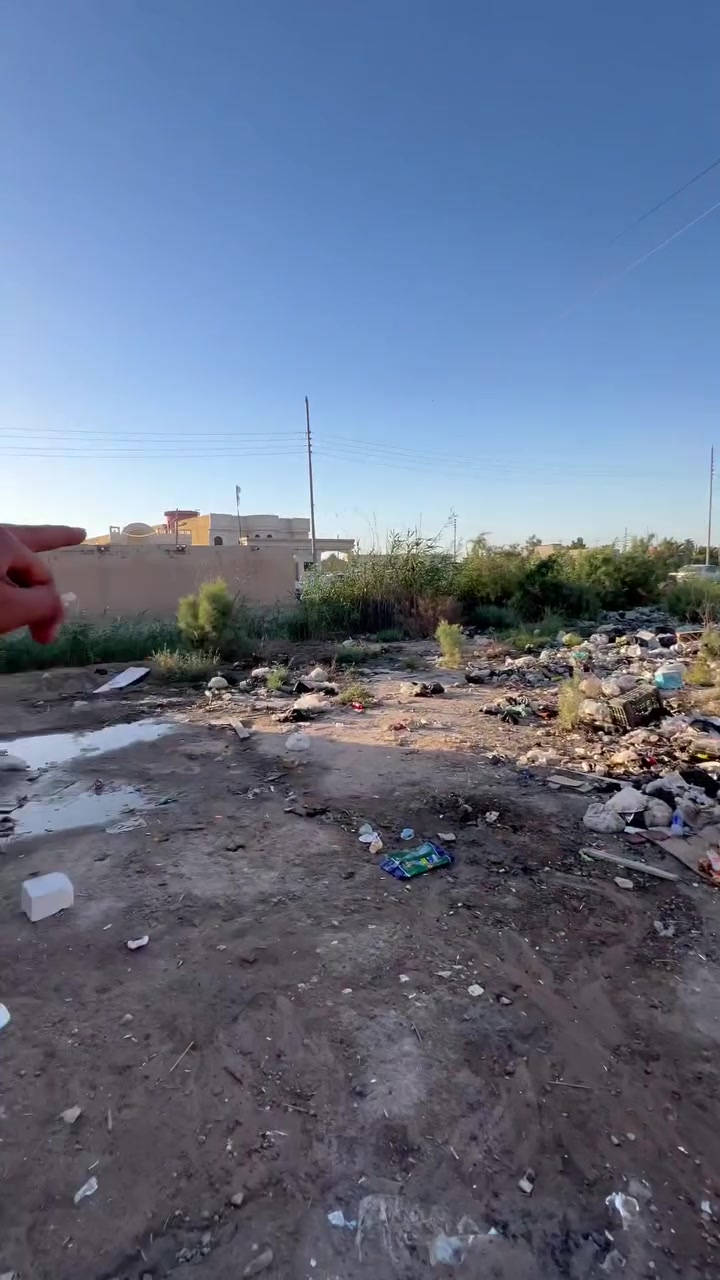 الاستفسار ***********

