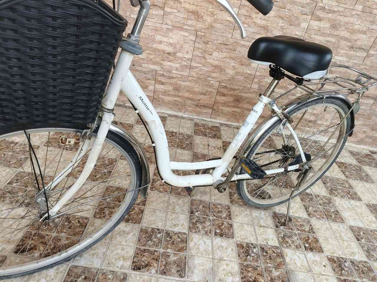 بايسكل للبيع حجم 26 مابيه شي بس صوت بالصجمات, السعر ب٤٥ وبيه مجال, المكان الديوانية - مركز المحافظة
الشراي يجي خاص


**إذا كنت صاحب هذا الإعلان وتريد حذفه لأي سبب، رجاءا أرسل رسالة إلى الدعم الفني**