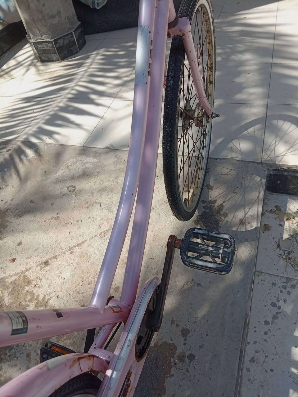 سلام وعليكم بيسكل لبيع حجم 26 سياحي مكاني بصره تنومه شط العرب رقم *********** سعر ٦٥
