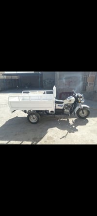 ستوته • موديل ١٩ • أوراق