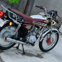 تايگر ٢٠٢٤ • أوراق • ناحية النيل