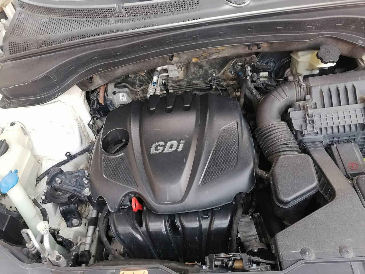 السلام عليكم..
سورنتو موديل ٢٠١٤ كوري رقم بغداد ٧راكب محرك ٤ سلندر مكانها في بغداد للاتصال *********** السعر ١٤٥
