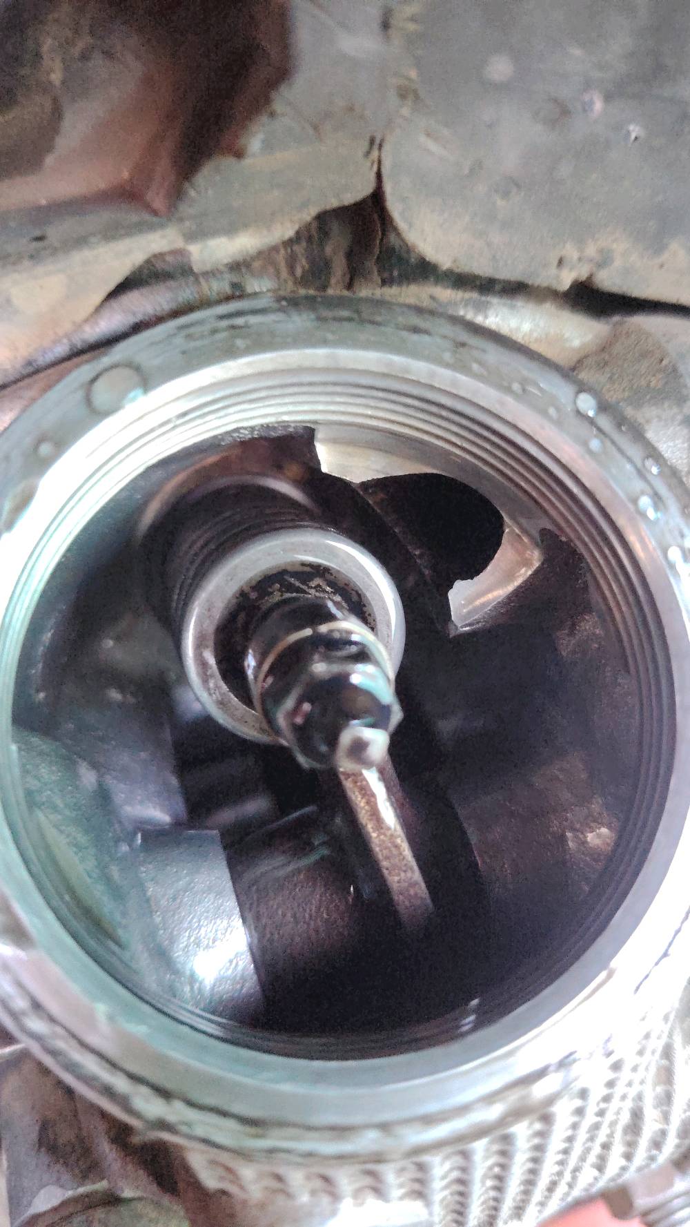 السلام عليكم دراجة فراشة جاهزة من كلشي سلف هندر كابريتر جديد لايت اشاير كلة شغال مفتوحة اول مرة مجفت كلة اصلي و عمر شلعة معدل تشك الكاع دبلات جديد بريكات جدد دراجة حلوة مكاني حلة شارع ٨٠ رقم *********** السعر ٣٧٥ 