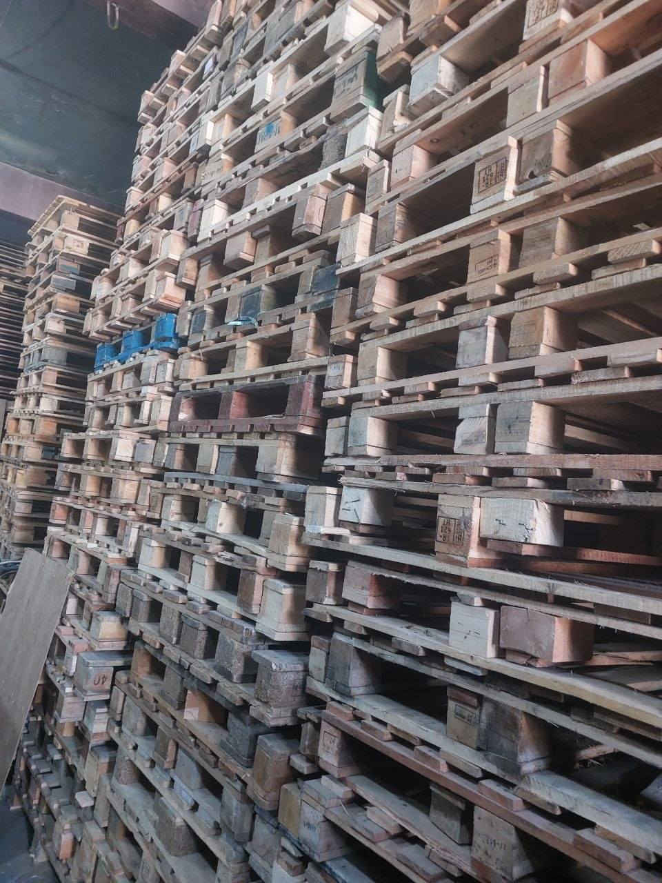 سكيب ستندر 100×120 درجه اولئ 

 المكان بغداد الرقم   *********** رجاءآ اذا مو شراي لا تتصل
