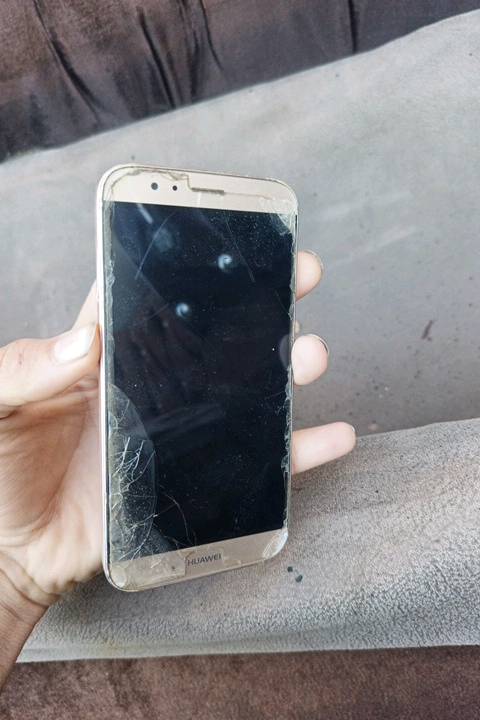 بغداد الجزيرة السياحيه 