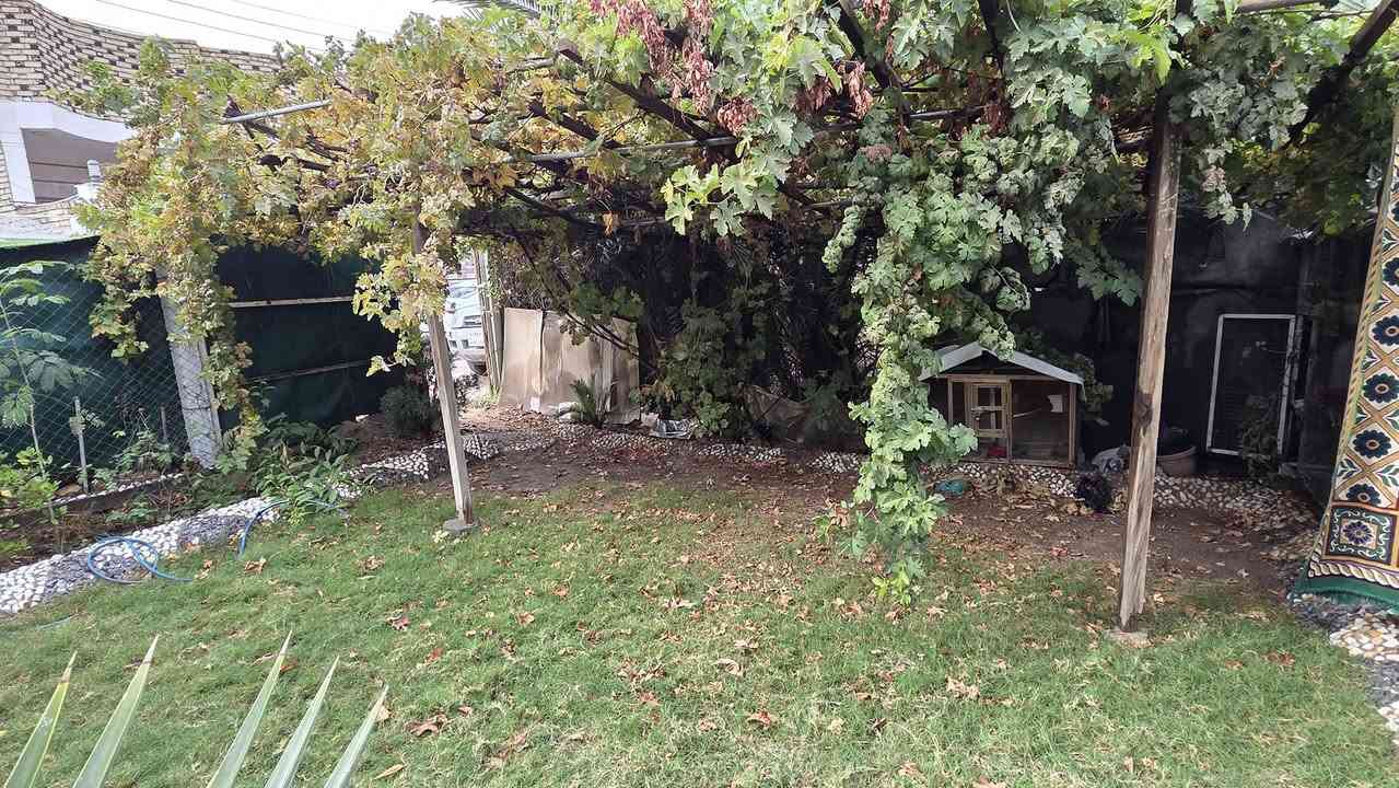 سلام عليكم
بيت للبيع حي الشهداء قرب مكتب الرشيد خلف شارع الصياغ ١٢٢ متر على ساحه مع حديقه طابق واحد السعر ١٤٠ مع المجال 
*********** ابو سجاد
