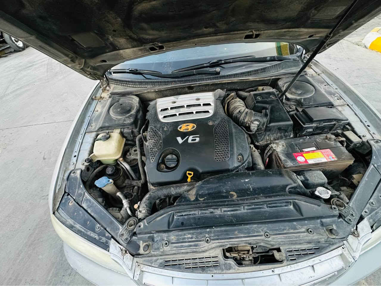 ازيره 2008خليجيه
اربيل سنويه 2030 بسمي
مكينه 6سلندر
تبريد قطعتين/داخل جلد/كشن كهرباء/تحكمات/شاشه كامره
جاهزه مابيها نقص
بيها صبغ قطعتين ونص بدون دواخل اثر جراد سونار مرفق بلمنشور
مكان السياره واسط الصويره
السعر 72
*********** الصويرة, واسط
