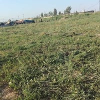 الأرض زراعية المساحة دونم ونص المكان خلف الجسر الفرنسي كهرباء ماء شارع...