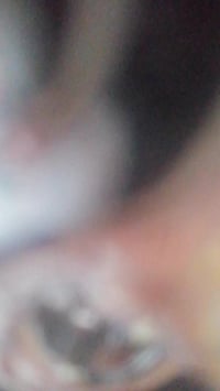 الوحش • اصولي • مكاني