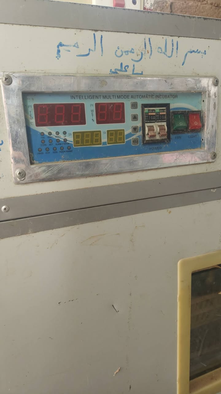 السلام عليكم فقاسه للبيع جديده شغله اكتروني عل كهرباء تشيل 500 بيضه شراي خاص او اتصال***********
