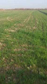 نتائج المنشط • مكتب الشمري • الزبيدية شارع المعارض