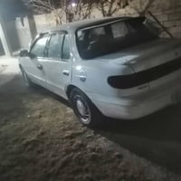 سيفيا • مصبوغه • بغداد