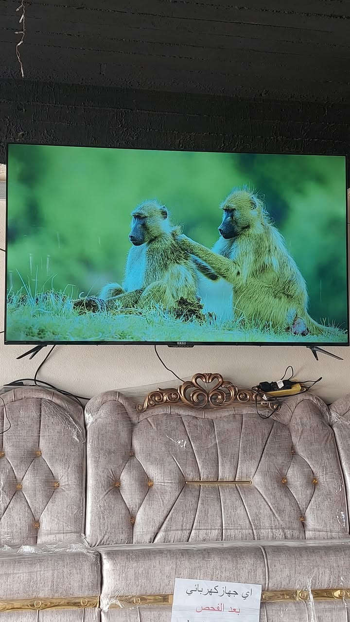 شاشة سمارت حجم ٦٥ فول 4k حقيقي 
نضام ريمون وحكاية
استخدام جدا قليل 
٣٩٠ الف 
معرض صفاء العباسي القوسيات طريق دهوك قرب مول ياسمين النعيمي 
***********
***********
