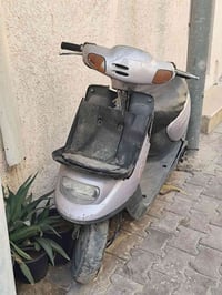 دراجة منغولي • شغاله • كربلاء