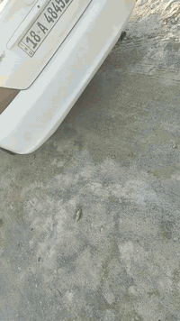 السلام عليكم سيارة كامري للبيع موديل ٢٠٠٣جديدة معنى الكلمة تدفة تبريد حدادية جديدة تخم تاير رقم انكليزي سنوية لغاية ٢٠٣١تحويل ثاني يوم بسم المشتري موبايل موبايل ***********و***********
