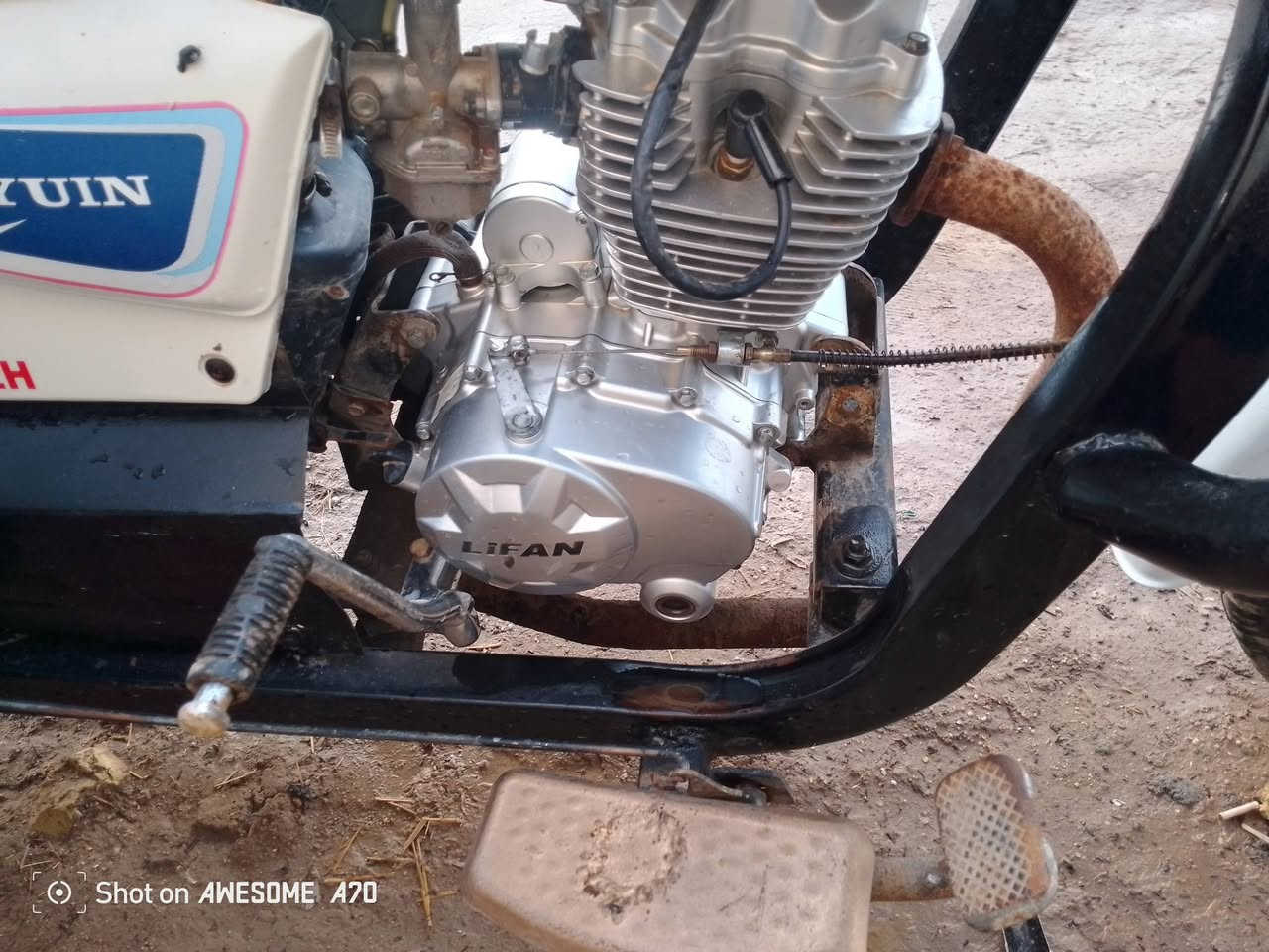 ستوته للبيع 19 مكاني قضاء النصر السعر خاص هذا رقمي***********
