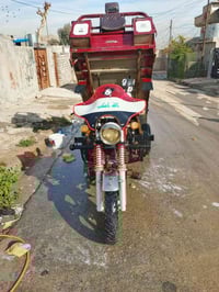 ستوته • ٢٠٢١ • شغاله