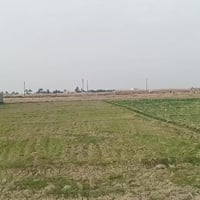 جزيرة البوذياب الرمادي • ٢٥٠٠م • طابو زراعي