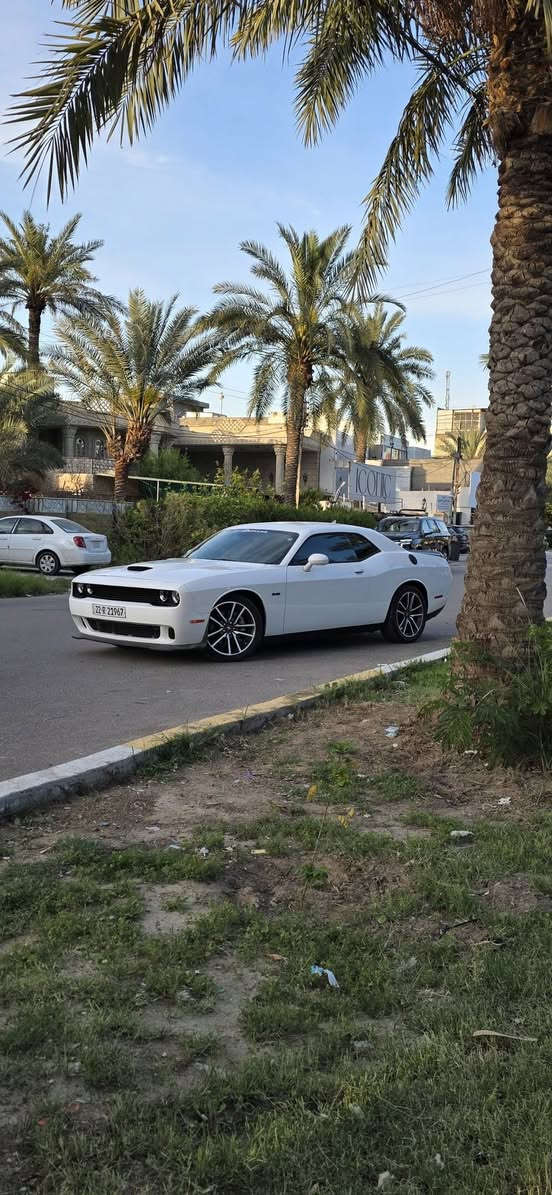 ​🏁 دودج تشالنجر R/T Last Call 2023 - Super Track Pak
1. اصدار اخير اخت الزيرو 
​ماشية: 6600ميل فقط 
​رقم اربيل باسمي
​نظام الصوت: سستم سماعات فاخر من Harman Kardon.
​الحادث: حادث أمامي (كما هو موضح بالصور)
* Not    ملاحظة******
* السيارة عليهة برمجة مراوح وتقليل صرف الوقود ومزودة باكزوز رياضي ودفيوزر من شركة  BIG BOZ وعليهة اكس بايب اكزوز
للتواصل : ***********/***********
