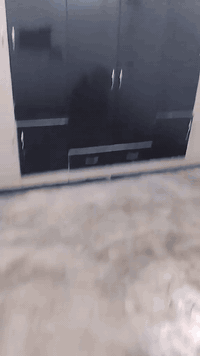 معرض للبيع طفصيخ سعر275الف عنوان كركوك حورية ***********
