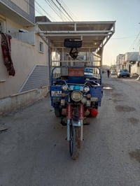 ستوته مديل ٢٠٢٣ مكفوله عامه باسمي شرط المداور 07890303773