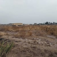 طوريج الرجيبة • ٣٠٠٠م • طابو سند ٢٥