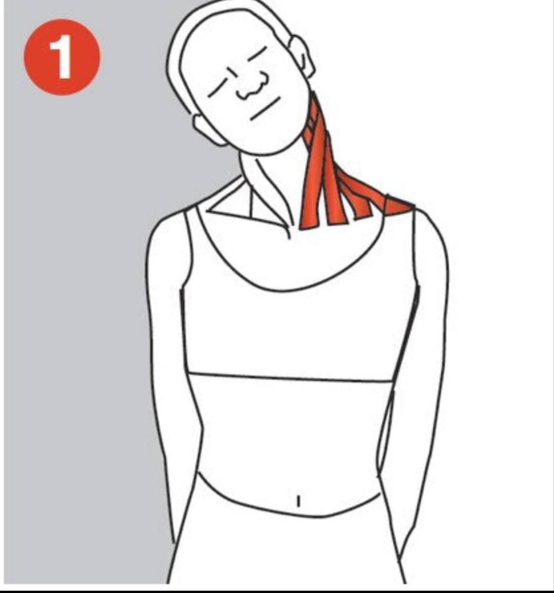 🌿 هذه أفضل تمارين لتخفيف ألم نقاط الزناد (Trigger Point) في الرقبة واليد بطريقة سهلة وآمنة 👇
🧠 أولًا: تمارين نقاط الزناد للرقبة
🔹 1. إطالة الرقبة الجانبية
الطريقة:
اجلسي مستقيمة
ميّلي رأسك إلى جهة واحدة
استخدمي يدك لزيادة الإطالة بلطف
المدة:
20–30 ثانية
كرري 3 مرات لكل جهة
👉 يفيد في:
شد الرقبة
الصداع الناتج من العضلات
🔹 2. شد عضلة أعلى الكتف (الترابيس)
الطريقة:
امسكي رأسك واسحبيها للأمام وللجانب
الكتف يبقى ثابت للأسفل
👉 مفيد جدًا لنقاط الزناد في الكتف
🔹 3. تمرين لف الرقبة
الطريقة:
لفي رأسك ببطء يمين ويسار
بدون ألم قوي
التكرار:
10 مرات
💪 ثانيًا: تمارين نقاط الزناد لليد والذراع
🔹 1. إطالة الساعد (مهم جدًا)
الطريقة:
مدي يدك للأمام
اسحبي الأصابع للخلف باليد الأخرى
👉 يفيد في:
ألم الرسغ
شد العضلات
تنميل اليد
🔹 2. إطالة المعصم العكسية
الطريقة:
مدي يدك
اضغطي الأصابع للأسفل
👉 يخفف نقاط الزناد في الجهة الأخرى من الساعد
🔹 3. تمرين الكرة (تقوية + تفريغ شد)
الطريقة:
امسكي كرة صغيرة
اضغطي عليها ثم ارخي
التكرار:
15–20 مرة
🎯 تمرين مهم جدًا (إزالة نقطة الزناد مباشرة)
🔹 الضغط العلاجي
الطريقة:
حددي النقطة المؤلمة
اضغطي عليها بإبهامك
استمري 30–60 ثانية
👉 ستشعرين:
بألم بسيط ثم يبدأ يخف = هذا طبيعي
واذا لم تشعري بتحسن بهذه التمارين عليك مراجعة علاج طبيعي بااسرع وقت 
الاخصائية المعالجة الفيزيائية
 العنوان 
بغداد المشتل قرب مستوصف المعلمين النموذجي باتجاه المدارس او قرب فلافل علاوي  للحجز والاستفسار مراسلة رقم الواتساب 
*********** معالجة للنساء 
*********** معالج للرجال
