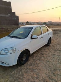 افيو • ٢٠١١ • بدون صبغ