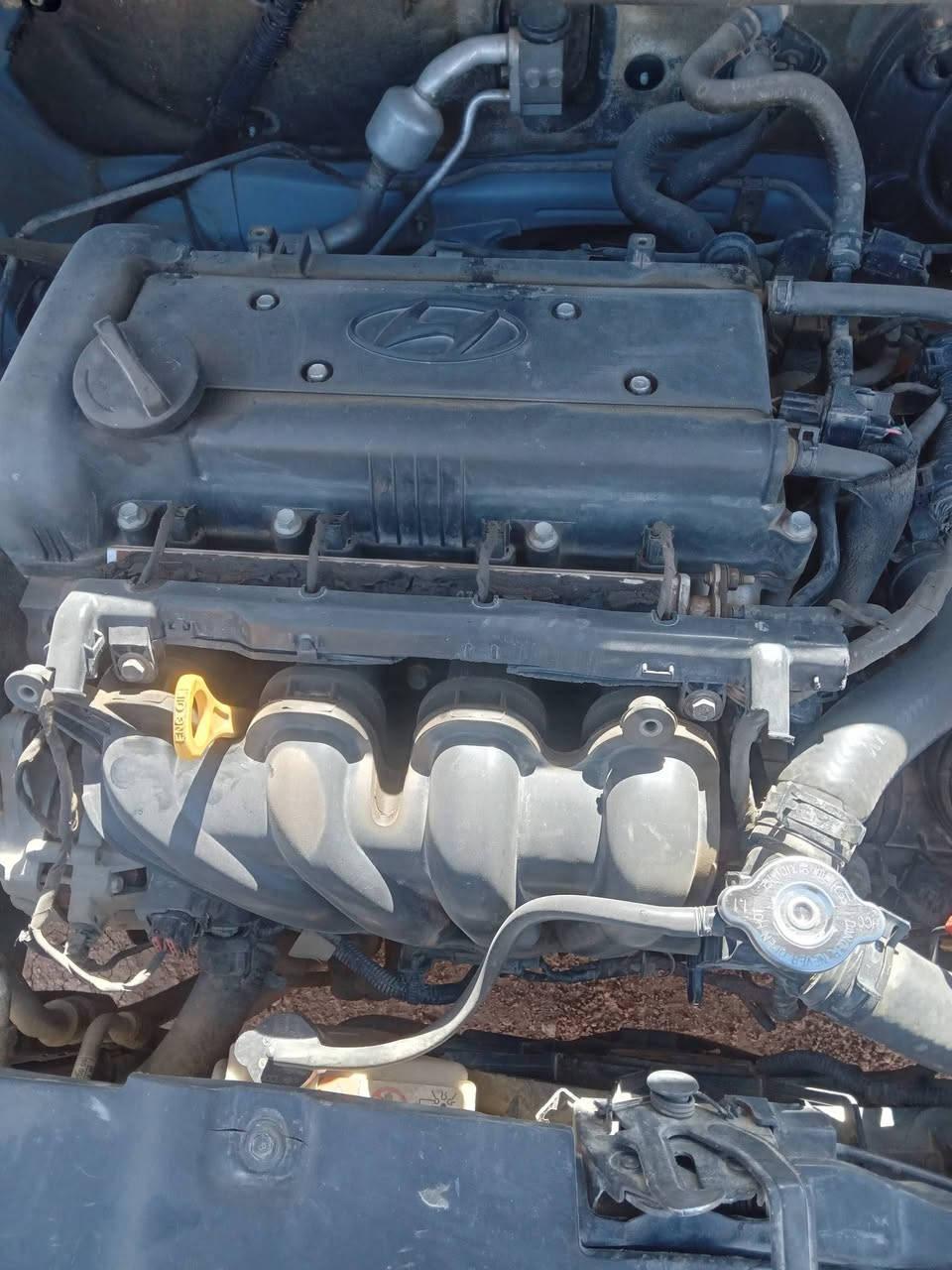 اكسنت مضلع خليجي سياره مكفوله من لعيب شرعي مصبوغه جماليه رقم مثنى مكاني كربلاء ***********سعر80بيها مجال
