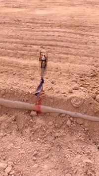 أرض • بابو الشام • ١٠٠م