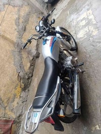 دايون عضم • موديل 2022 • اوراق اصلية