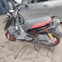 سكنس • جبلي • رياضي