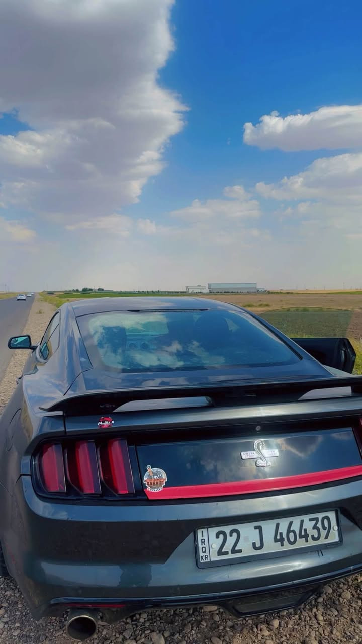 Ford mustang ecoboost v4

2016

سعر110 وي مجال بسيط
او مراوس

الحادث قطعة وحدة جاملف خلفي

وبيها بارد بسيط على كد الاصابع

بجم كبس

مكينة موديل 2022

شوتة JLT كاملة

شاشة Sync 3

وياله فيردا أصلية

مبرمجة أربع مودات قيادة

عليها أدامه  كاملة فلتر وفيول بمب وبلكات وهل أمور

دسكات جدد

تايرات جدد

محدثة شيلبي

منظومة عدسات جديدة

السيارة ربع متصرف عليها كاملة

مكملة من حدادية مكينة كير وأكسل

شباب لحد يقارنها بالمهجومات

الحزام والقطع الصبغ لأن السيارة قطعة وحدة صبغ ومصروف عليها هواي

رقم الهاتف ***********

مكانها بغداد بلديات
