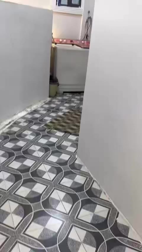 بيت للبيع في ابو غريب حي الكرامة
المساحه 150 متر الواجه 7،5 في 20
البيت على شارع 20 تبليط وقريب على الخدمي وقرب جسر ابو منيصير 
البيت معزول الطابق لارضي عن الطابق لاول
وبي درج داخلي هم موجود البيت يحتوي على 3 غرف نوم ومطابخ 2 وحمامات 3 
البيت جاهز من كلشي 
وشغل مرتب فقط لطابق لفوك 
نقصه ارضيه اما لباقي جاهز 
البيت طابو ملك صرف تحويل مباشر 
السعر 165 وبي مجال 
لاستفسار ***********
واتساب   *********** 
اتصال📞***********
