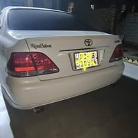 شاهينه • كفاله عامه • بلكارتون