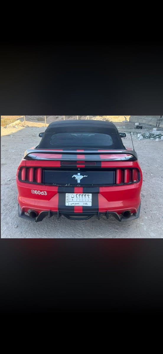 سلام عليكم
موستنك ٢٠١٥ كشف ٦سلندر
مكينه وكير جديده بلجيس
سياره نضيفه وحلو نصبته حلوه
-بيه دمام مال صوت منضومه كامله وبيه
-اكزوز بصمه تحكم عل ريمونت شغله وطفيه
سوناره موجود وي صور
سياره نقصه فقط حداديه فقط حداديته شويه تعبانه
-سعر ١١٥ ورقه وبيه مجال
للاستفسار /***********
