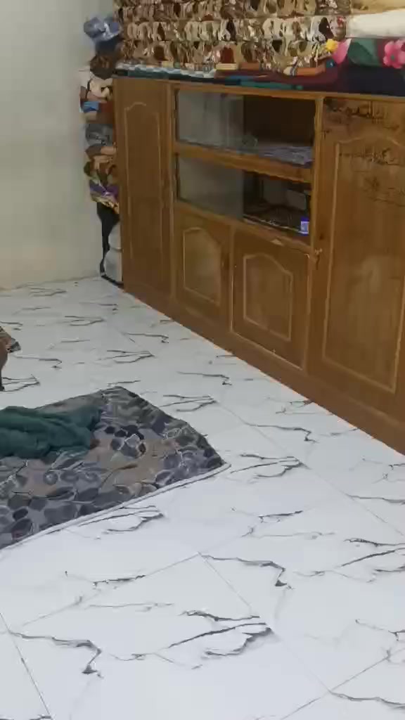 بيت للبيع للستفسار الاتصال على رقم***********
