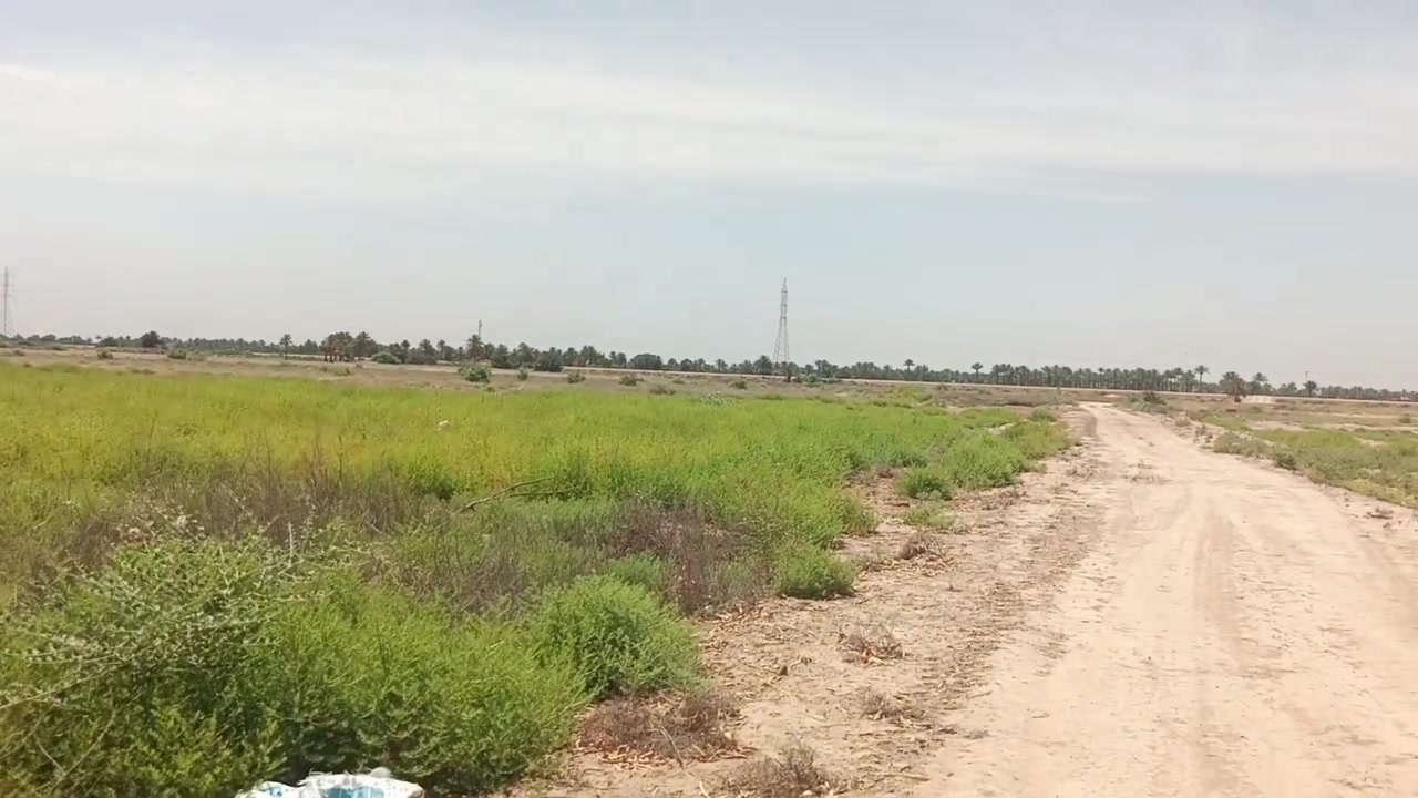 سلام عليكم يوجد ارض للبيع ابو غريب الحمدانية جنس
لارض طابو زراعي سند 25 الخدمات ماء وكهرباء موجوده 
ملاحظة يوجد اكثر من دونم ***********
*********** يوجد وتساب
