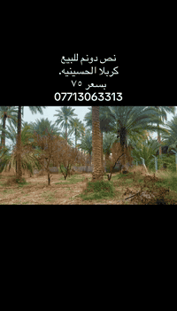 كربلاء الحسينية • نص دونم • ١٢٥٠م