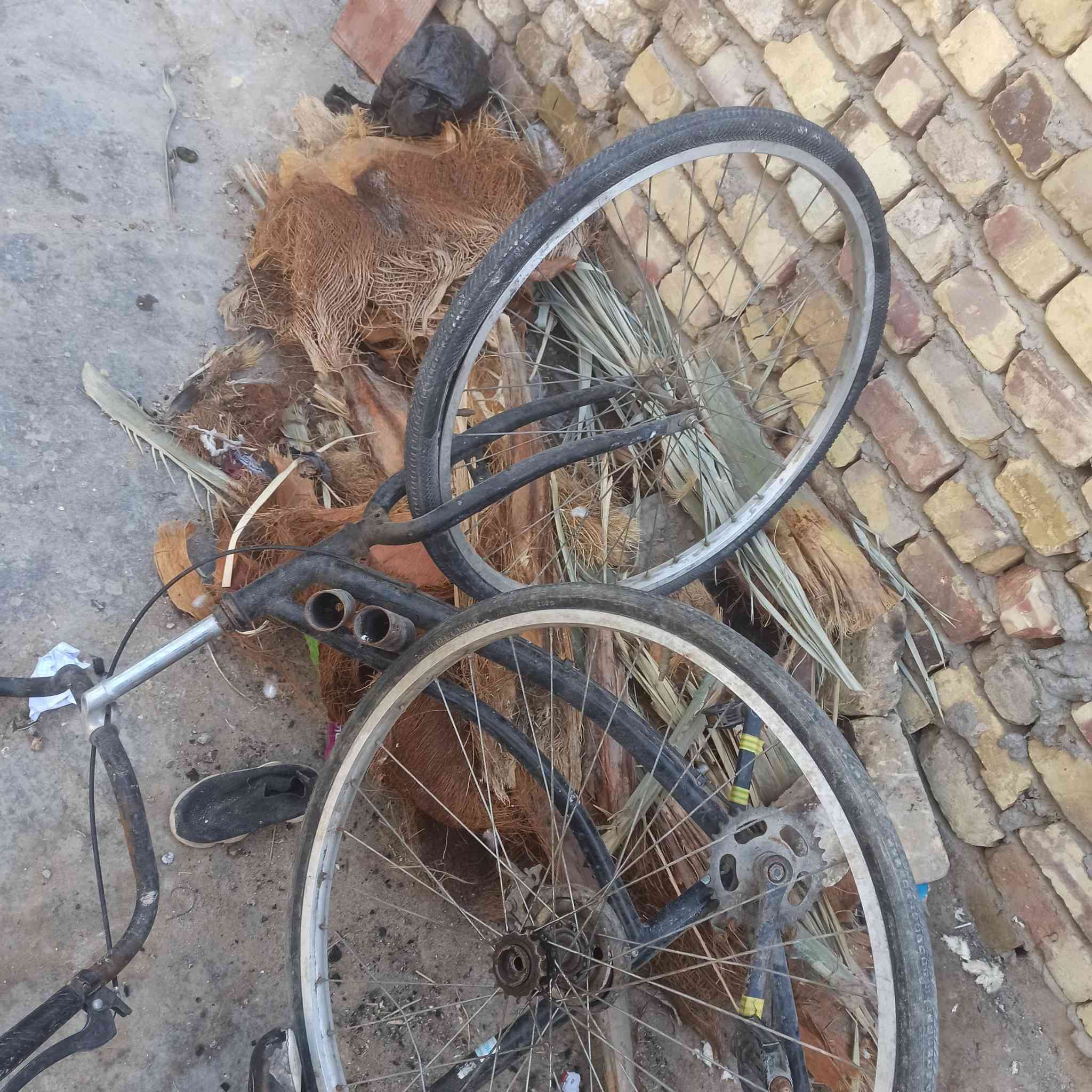 باسكل للبيع عوزه بس شفت خلفي وتنضيف مكينه جاهز مجهز.المكان الديوانيه الشافعيه سيد طالب السعر 20وبي مجال مفصخ  الباسكل الشراي خاص


**إذا كنت صاحب هذا الإعلان وتريد حذفه لأي سبب، رجاءا أرسل رسالة إلى الدعم الفني**