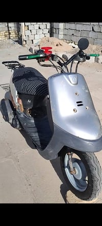 بطه ٦٠ • ملحوم • هندر