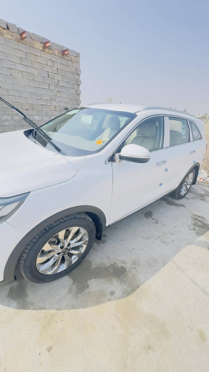 السلام عليكم 
سورنتو 2019 محرك 6 سلندر 3500 خليجي 7 راكب فوول مواصفات ماعدا البانوراما جرس 120 جنطه كهربائيه تبريد 3 قطع اشاره ترحيب مري شفط ماشيه 110 اللون ابيض رقم انكليزي الجديد سنويه 2030 هزه جديده سياره كفاله عامه رقم بغداد مشروع وطني بأسمي ثاني يوم اداور مكان السياره ذي قار
رقم الهاتف *********** واتس اب او تليكرام موجود
